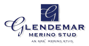 Glendemar Merino Stud logo