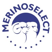 Merino Select logo